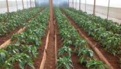 Drip irrigation pipes, Greenhouses,accesories and dam liners -