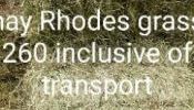 Pure Boma rhodes free transport