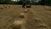 Professional Hay baling Services