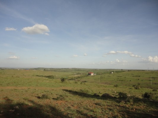 Prime 1/8th acre plots for sale at Ilmasin Kona Baridi, Kiserian.