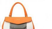 Fashionable Designer Ladies PU Leather Ladies Handbags (C71317)