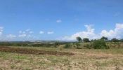 Prime 50 Acres farming land at Perani,south coast Lunga Lunga for sale