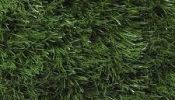 Artificial Grass, Asepsis Limited stores
